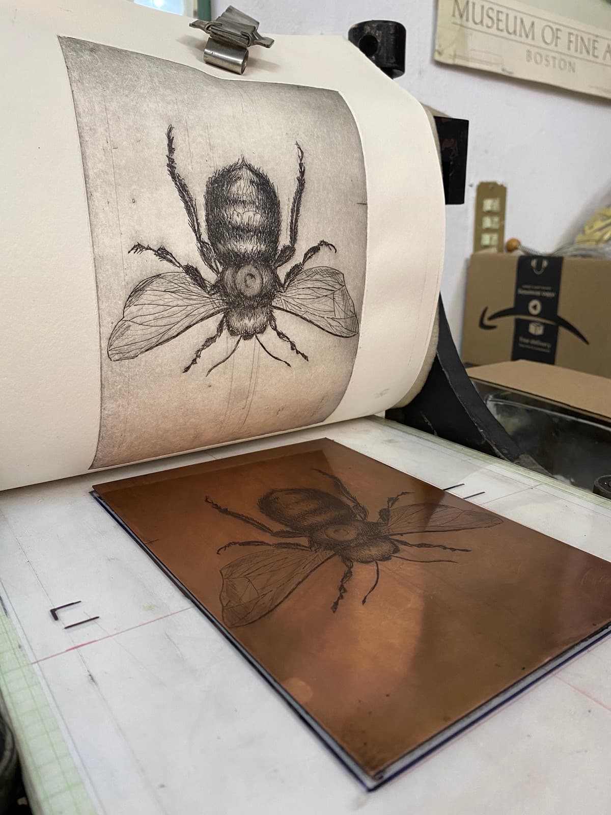 La memoria ausente — 5